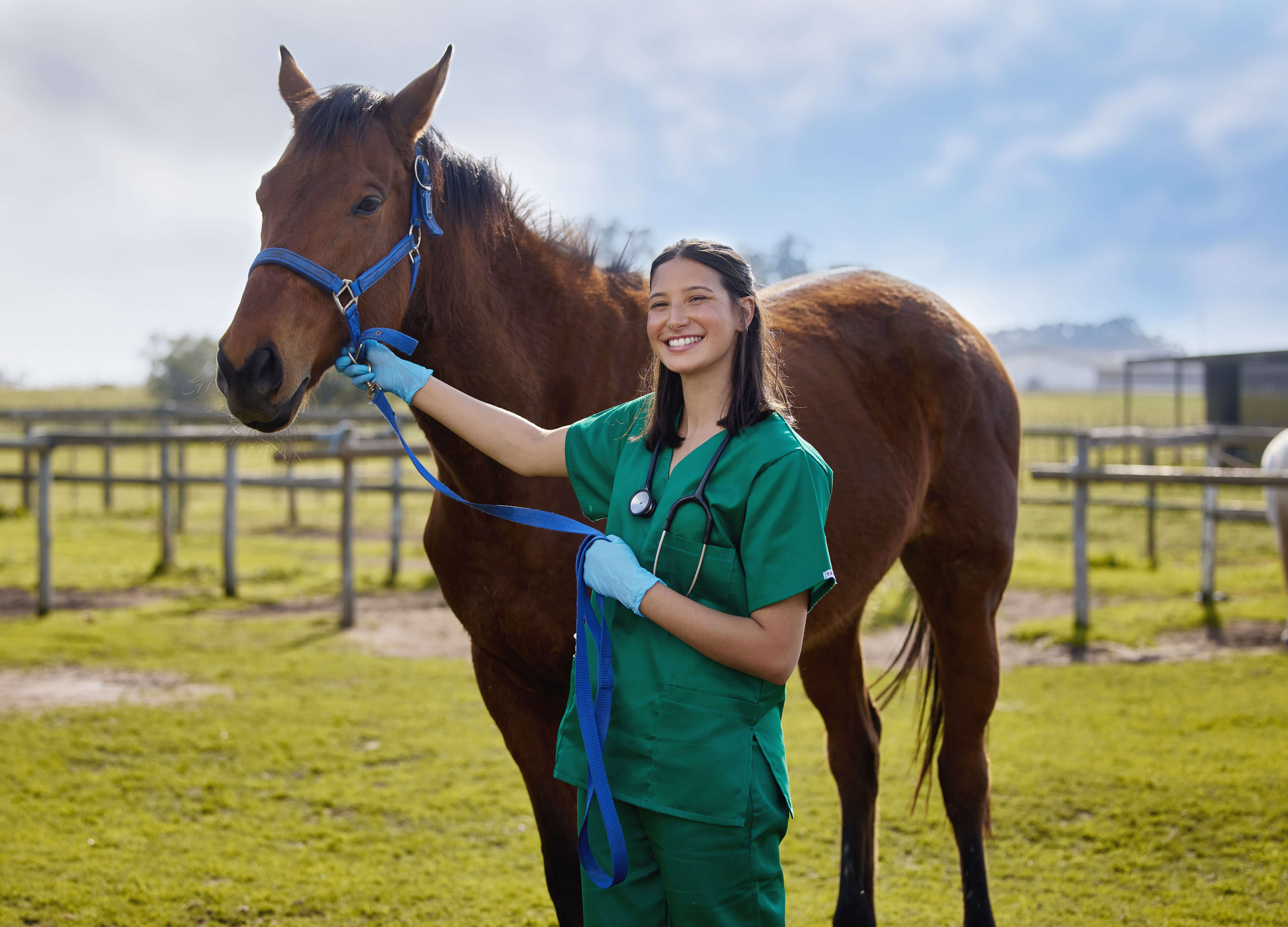 Young veterinarian with horse representing animal husbandry applications of liquid nitrogen