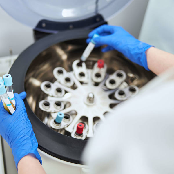 Laboratory biochemist positioning sodium citrate vacutainers for analysis and sample preservation